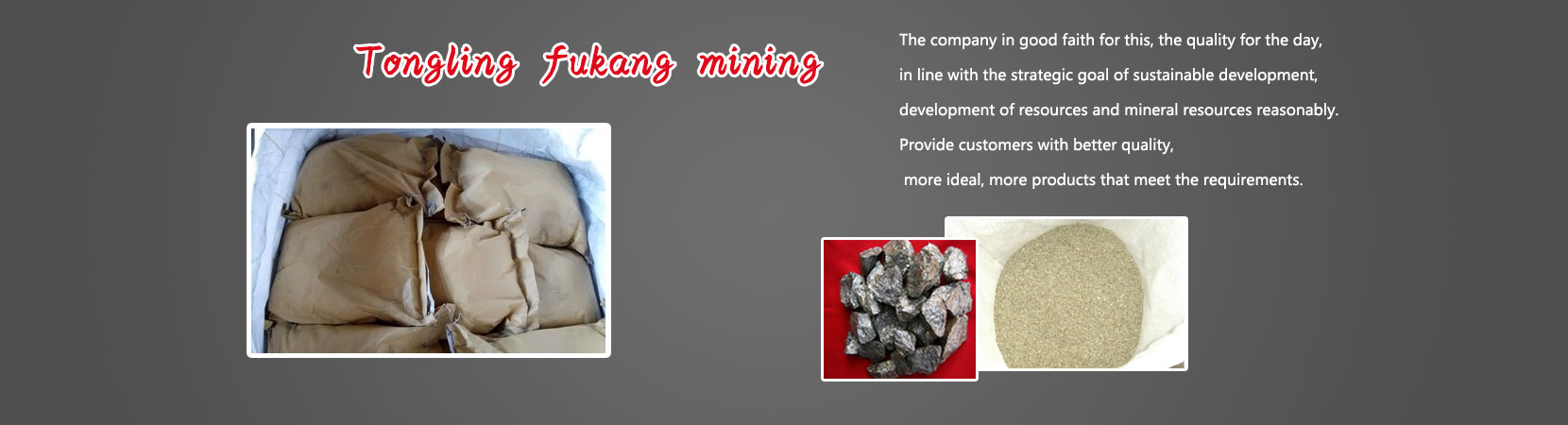 Tongling Fukang Mining Co. Ltd.